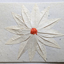 Load image into Gallery viewer, Handmade Recycled Paper Greeting Cards – Pack of 5
